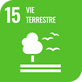 Logo ODD 15 - Vie terrestre